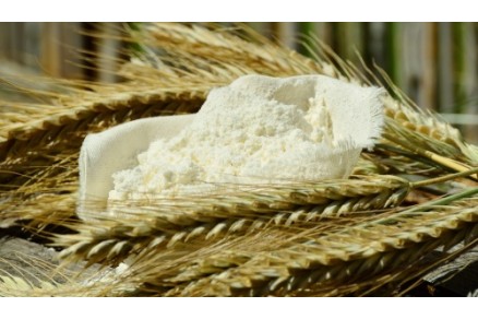 Reducing the Risk of Explosions in Flour Mills