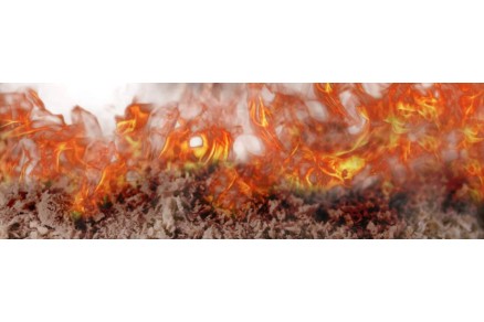 An Introduction to Combustible Dust Explosions